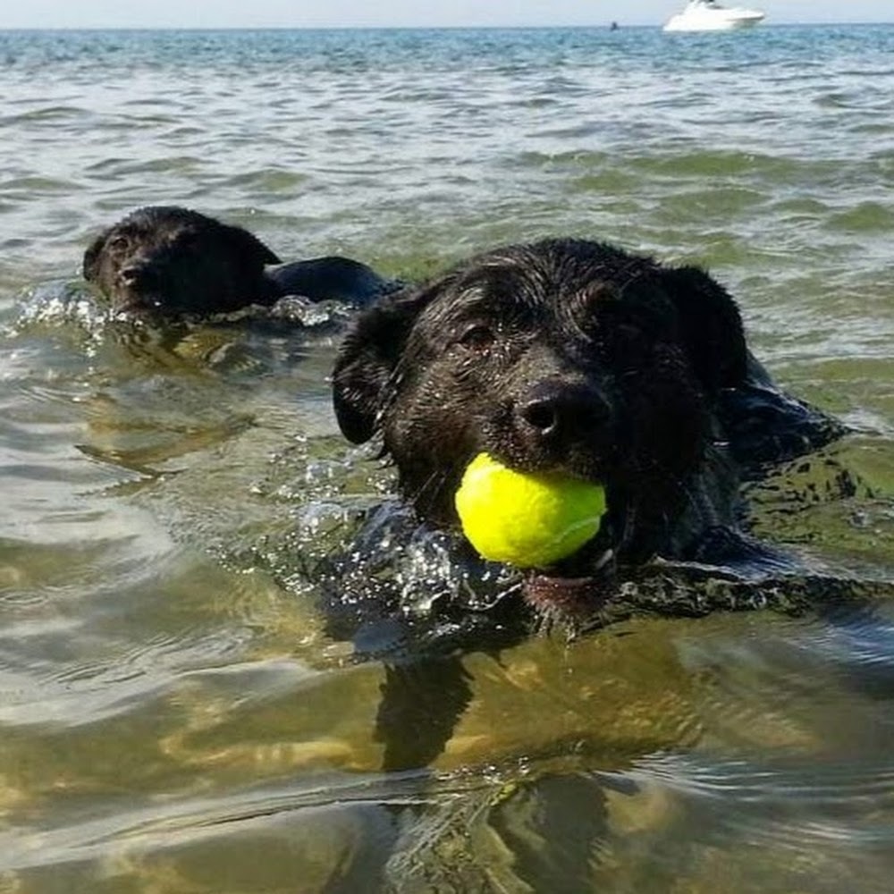 Meet your Posher, Aliya